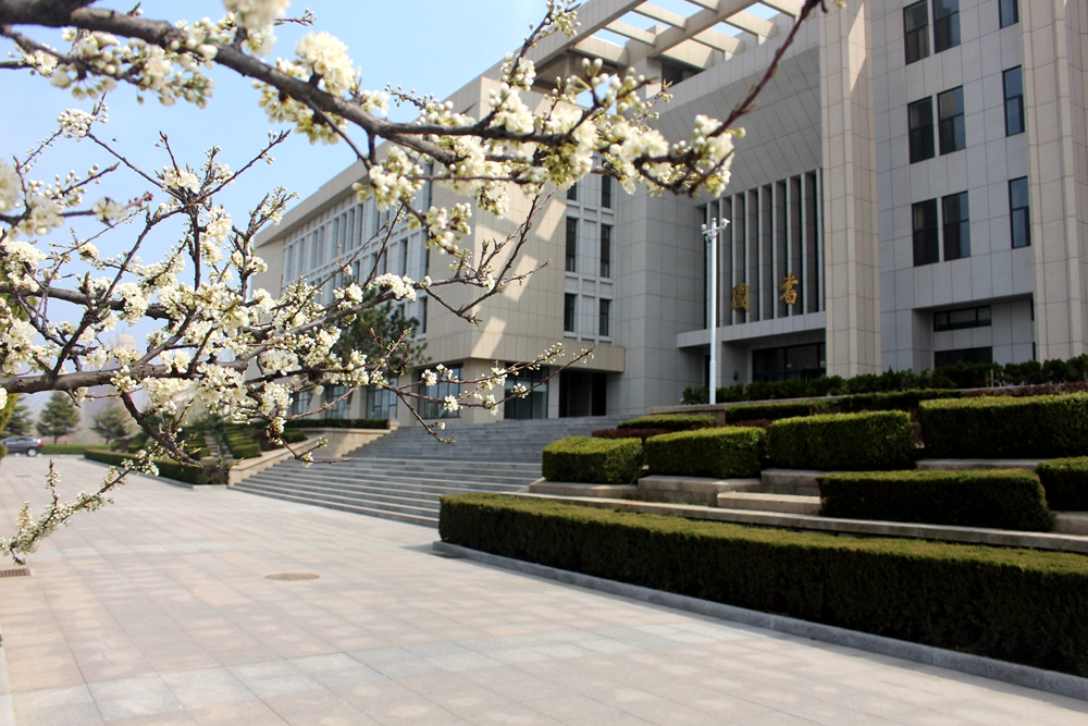 莱山一中图书馆