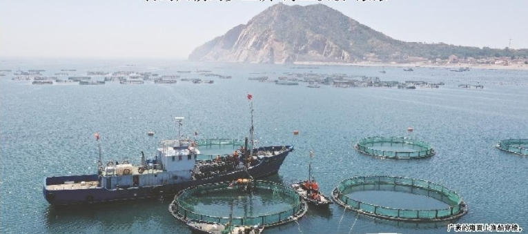 옌타이 창다오서 '바다 위의 가을 갈이' 장관 펼쳐져_fororder_图片 1