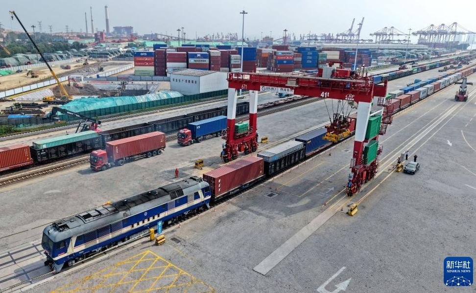 青島港の輸出入航路数が引き続き増加