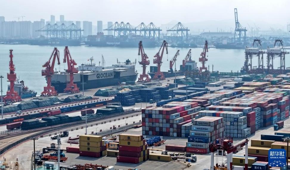 青島港の輸出入航路数が引き続き増加