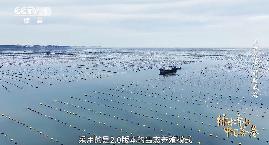 国連が普及を目指す中国の複合エコ養殖 山東省威海