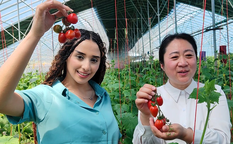산둥 자오위안, 지역 특성을 살린 특색 과일·채소 산업 발전_fororder_图片1