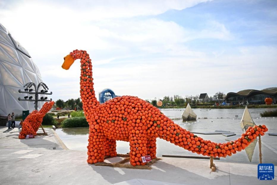 「カボチャアート王国」が観光客に人気に 山東省青島