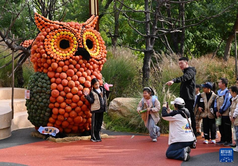 「カボチャアート王国」が観光客に人気に 山東省青島