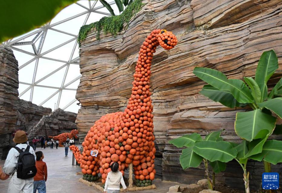 「カボチャアート王国」が観光客に人気に 山東省青島