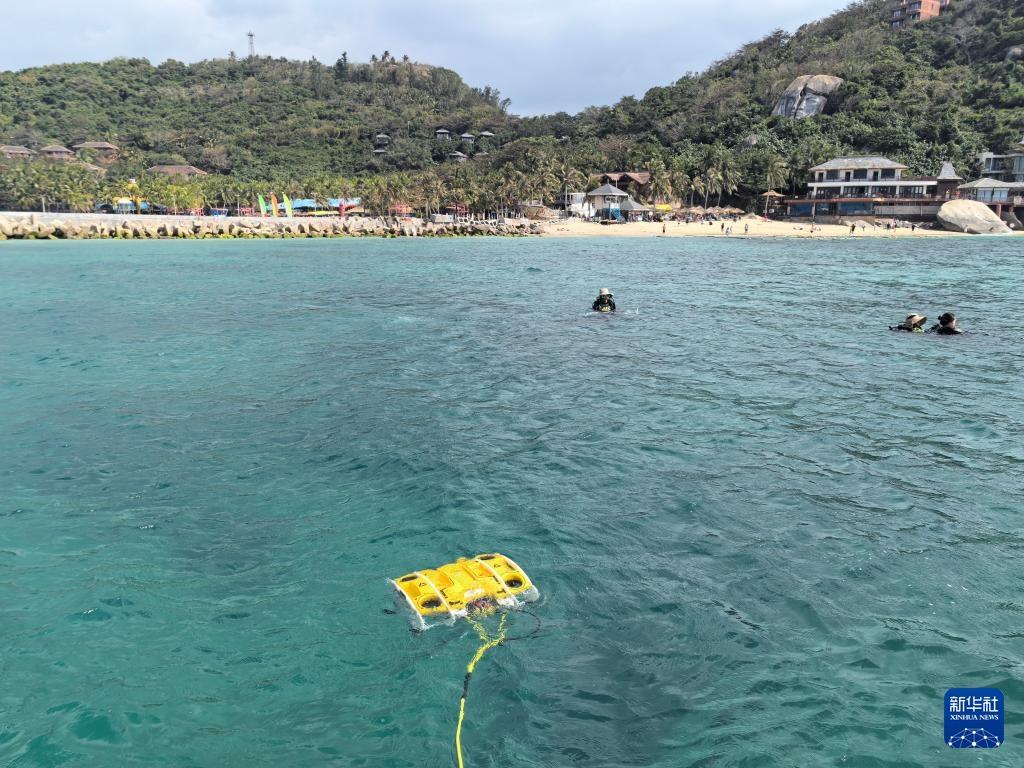 2026年3月、サンゴ調査を実施する水中ロボット。